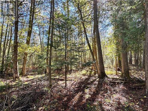 968 Robertson Road, Gore Bay, Manitoulin Island, ON - Outdoor With View