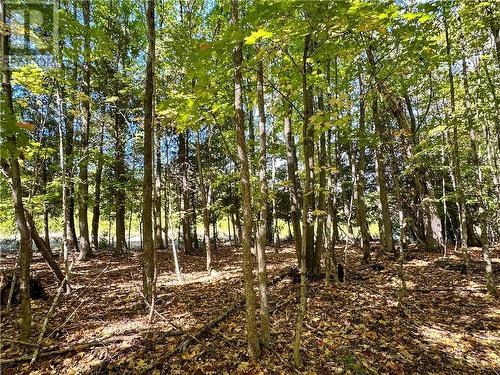 968 Robertson Road, Gore Bay, Manitoulin Island, ON - Outdoor