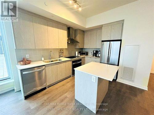 507 - 55 Duke Street W, Kitchener, ON - Indoor Photo Showing Kitchen With Stainless Steel Kitchen With Double Sink