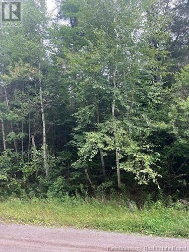 Lot 22-2 Girouardville Road, Bouctouche, NB 