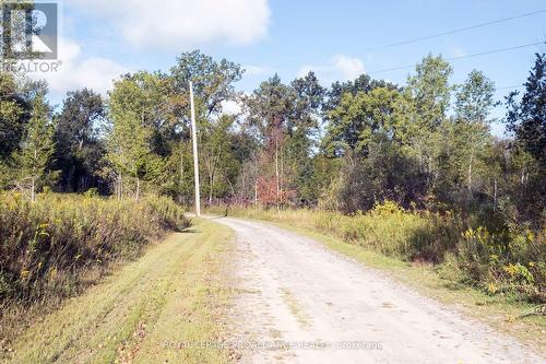 278 Whites Road, Quinte West, ON - Outdoor With View