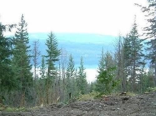 161 Columbia Drive, Anglemont, BC - Outdoor With View