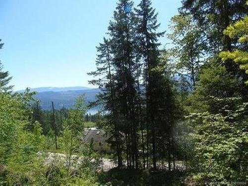 161 Columbia Drive, Anglemont, BC - Outdoor With View