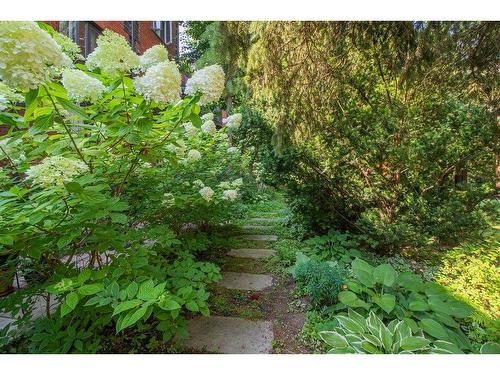 Backyard - 103-67 Rue Berlioz, Montréal (Verdun/Île-Des-Soeurs), QC - Outdoor