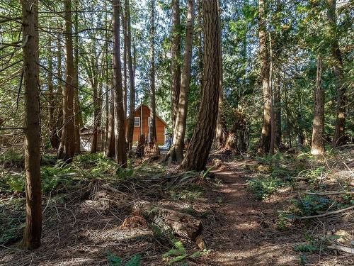 10741 Chemainus Rd, Ladysmith, BC 