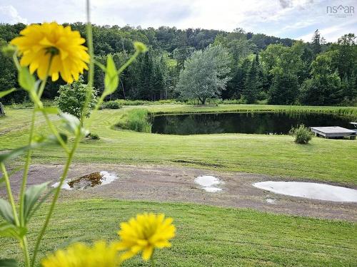 1522 Matheson Brook, Tatamagouche, NS 