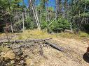 Lot 88-1 Hillside Road, Marion Bridge, NS 