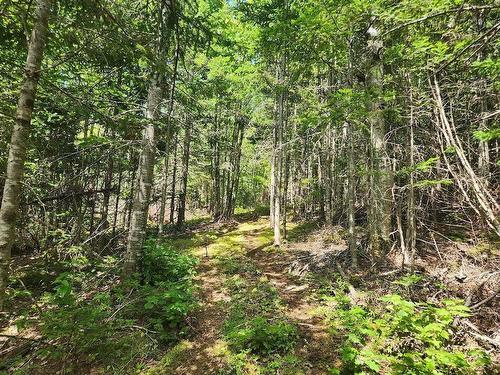 Lot 88-1 Hillside Road, Marion Bridge, NS 