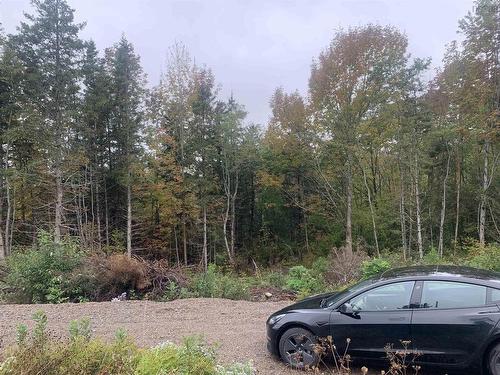 Lot 18 Torbrook Road, Torbrook, NS 