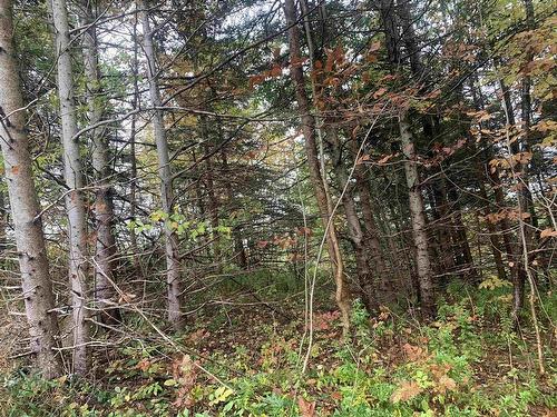 Lot 18 Torbrook Road, Torbrook, NS 