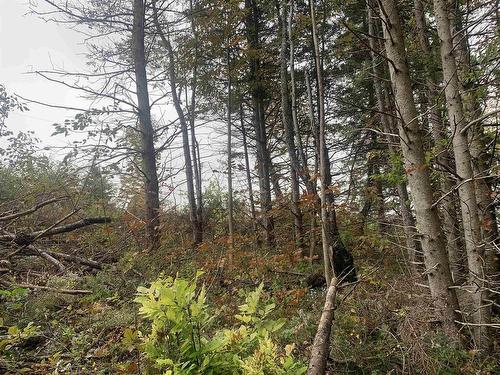 Lot 18 Torbrook Road, Torbrook, NS 