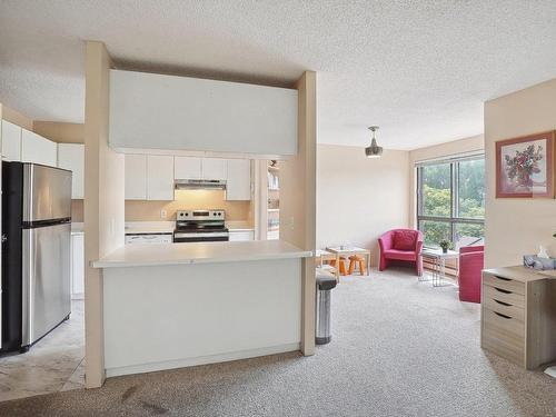 Overall view - 504-175 Rue William-Paul, Montréal (Verdun/Île-Des-Soeurs), QC - Indoor Photo Showing Kitchen