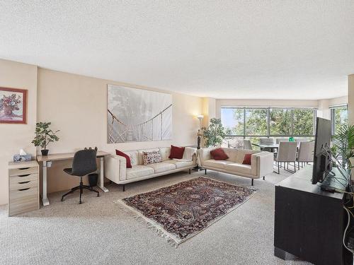 Salon - 504-175 Rue William-Paul, Montréal (Verdun/Île-Des-Soeurs), QC - Indoor Photo Showing Living Room