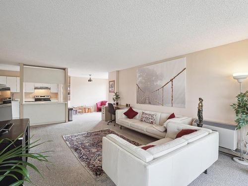 Salon - 504-175 Rue William-Paul, Montréal (Verdun/Île-Des-Soeurs), QC - Indoor Photo Showing Living Room