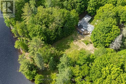 1388 Carlsmount Road, Bracebridge, ON - Outdoor