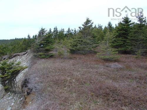 Lot 8 Holland Harbour, Holland Harbour, NS 