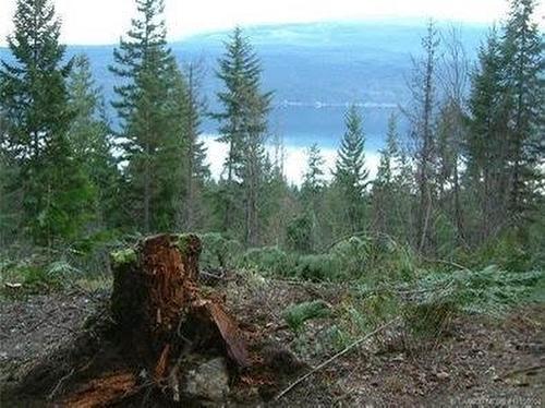 Lot A Columbia Drive, Anglemont, BC - Outdoor With View