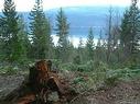 Lot A Columbia Drive, Anglemont, BC  - Outdoor With View 