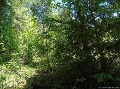 Lot A Columbia Drive, Anglemont, BC - Outdoor