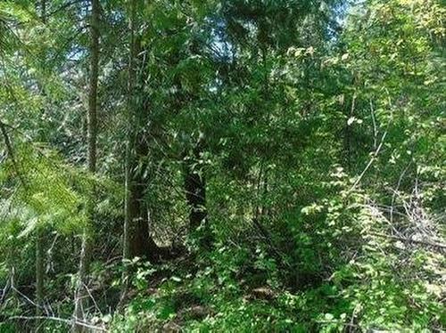 Lot A Columbia Drive, Anglemont, BC - Outdoor