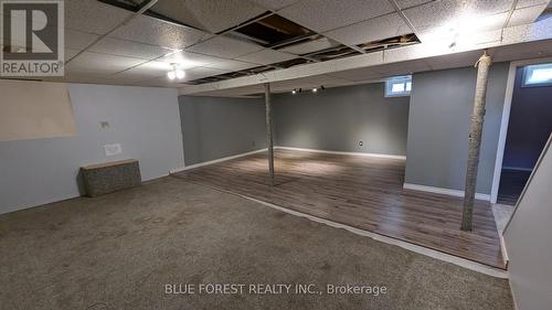 50 Jena Crescent, London, ON - Indoor Photo Showing Basement