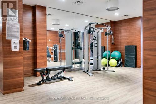 2009 - 9 Valhalla Inn Road, Toronto (Islington-City Centre West), ON - Indoor Photo Showing Gym Room