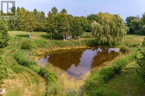 638 County 28 Road, Cavan Monaghan (Millbrook), ON - Outdoor With Body Of Water With View