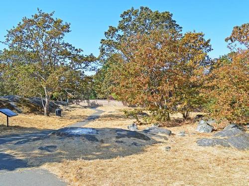 411-1301 Hillside Ave, Victoria, BC - Outdoor With View