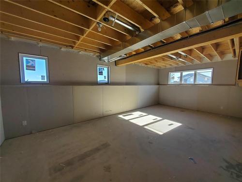 14 Van Riesen Way, Niverville, MB - Indoor Photo Showing Basement