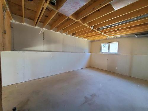 14 Van Riesen Way, Niverville, MB - Indoor Photo Showing Basement