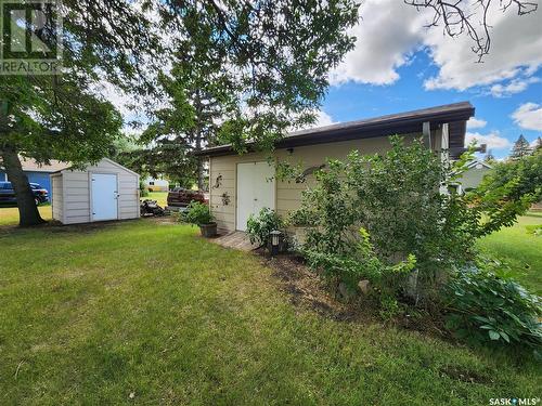 207 Garnet Street S, Wolseley, SK - Outdoor