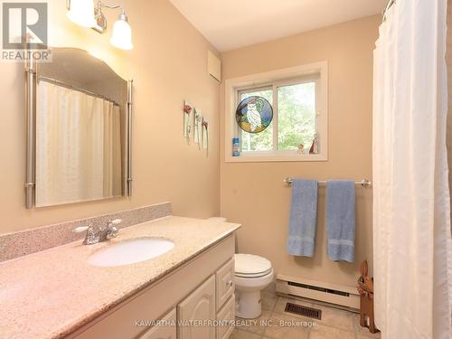 167 Sunset Beach Road, Kawartha Lakes (Kirkfield), ON - Indoor Photo Showing Bathroom