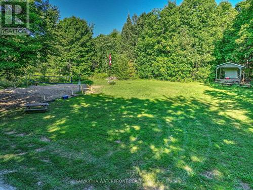 167 Sunset Beach Road, Kawartha Lakes (Kirkfield), ON - Outdoor