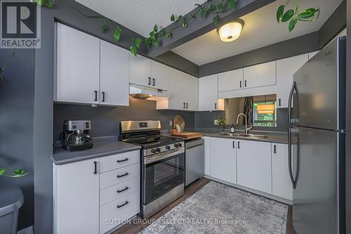 29 - 9 Ailsa Place, London, ON - Indoor Photo Showing Kitchen With Stainless Steel Kitchen