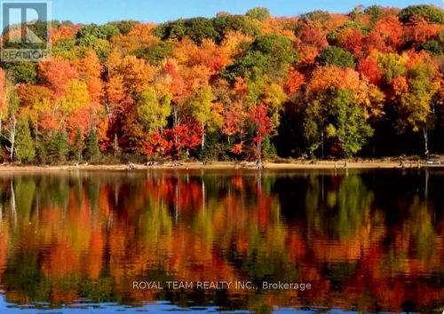 1190 High Falls Road, Bracebridge, ON - Outdoor With Body Of Water With View