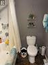 334 Swaan Street, Porcupine Plain, SK  - Indoor Photo Showing Bathroom 