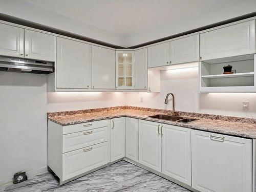 Kitchen - 3-76 Rue Reid, Saint-Lambert, QC - Indoor Photo Showing Kitchen With Double Sink