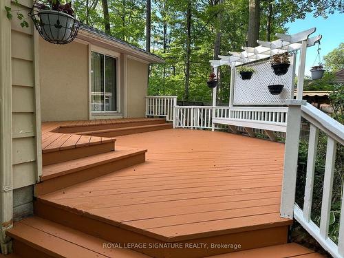 244 Isabella Ave, Mississauga, ON - Outdoor With Deck Patio Veranda With Exterior