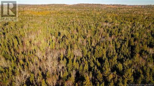 Vacant Land Boyd Road, Clarence Ridge, NB 