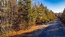 Vacant Land Boyd Road, Clarence Ridge, NB 