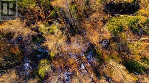 Vacant Land Boyd Road, Clarence Ridge, NB 