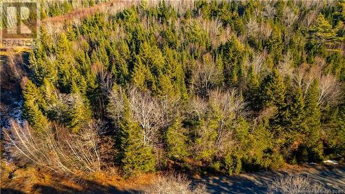 Vacant Land Boyd Road, Clarence Ridge, NB 