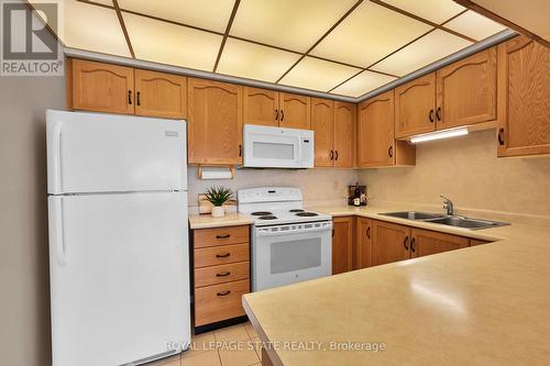 302 - 495 #8 Highway, Hamilton (Stoney Creek), ON - Indoor Photo Showing Kitchen With Double Sink