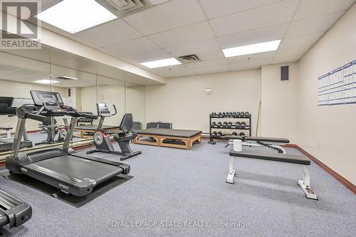 302 - 495 #8 Highway, Hamilton (Stoney Creek), ON - Indoor Photo Showing Gym Room