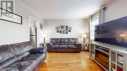 34 Royal Oak Drive, St. John’S, NL - Indoor Photo Showing Living Room