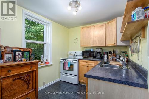 10 Pearl Street, Guelph, ON - Indoor Photo Showing Kitchen With Double Sink