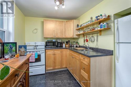 10 Pearl Street, Guelph, ON - Indoor Photo Showing Kitchen