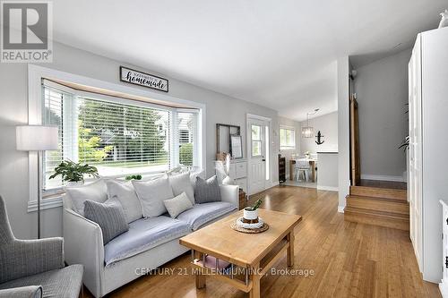 42 Niagara Street, Collingwood, ON - Indoor Photo Showing Living Room