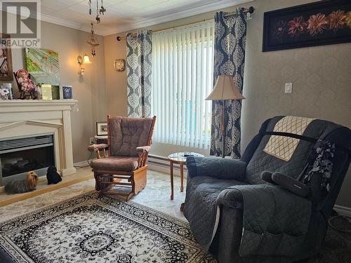 27 Baird Street, Channel-Port Aux Basques, NL - Indoor Photo Showing Living Room With Fireplace