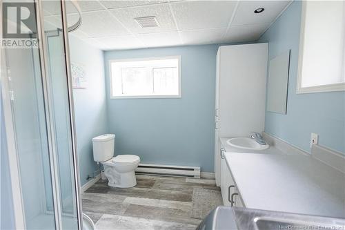 91 Dominique, Grand-Sault/Grand Falls, NB - Indoor Photo Showing Bathroom